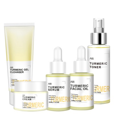 high quality moisturizing anti aging anti acne turmeric care cream facial treatment skin care set