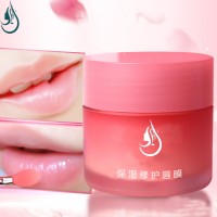 Skin Care Moisturizing Nourishing Repair Jelly Gel Night Sleeping Collagen Lip Mask With Lip Brush Private Label